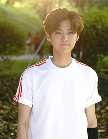 甜蜜暴击鹿晗明星同款夏季韩版休闲运动青少年短袖情侣短袖t桖 潮