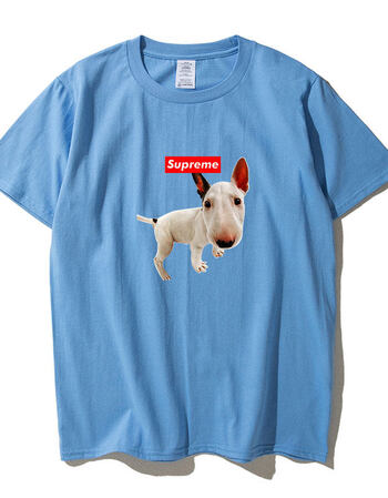 潮牌联名法斗狗狗短袖男女夏动物图案衣服情侣t恤 xcsup牛头梗(浅蓝色