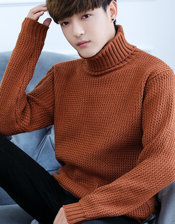 男士冬季粗针高领针织衫韩版潮流新款毛衣时尚男装手工麻花线衣服