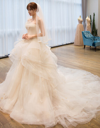 琴丽姿 抹胸婚纱礼服2017秋冬新款大码绑带长拖尾新娘结婚婚纱修身