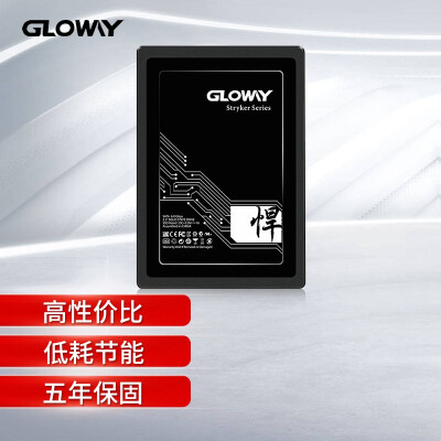 光威（Gloway）960GB SSD固态硬盘｜SATA6Gb/s接口｜悍将系列-高速版