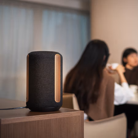 入手：索尼SRS-RA3000蓝牙音响优缺点如何,如何怎么样?