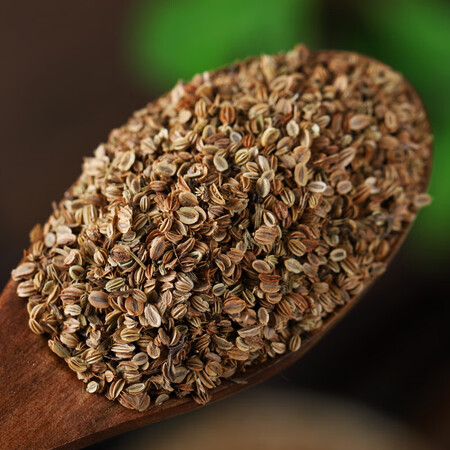 黄柏苦参蛇床子中药材可搭地肤子新鲜干货泡茶泡水外洗 套餐3蛇.