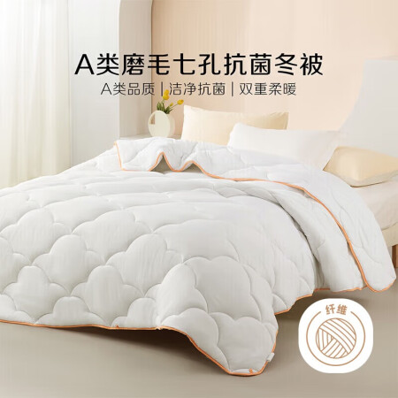 百丽丝水星集团旗下被子被芯 A类亲肤秋冬保暖加厚被芯七孔透气...