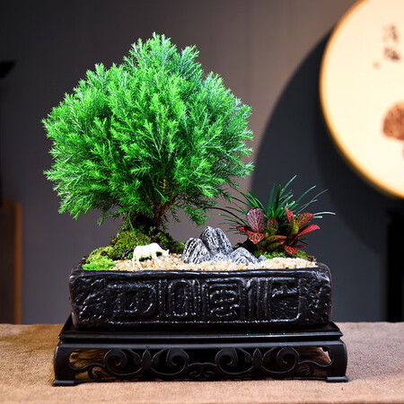 自然空间雾松盆景室内桌面盆景礼品 风山四方汉砖雾凇 马 25.
