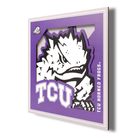 YouTheFan NCAA TCU 角蛙 3D 标志系列墙...