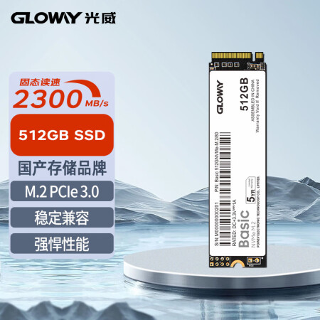 光威（Gloway）512GB SSD固态硬盘 M.2接口(...