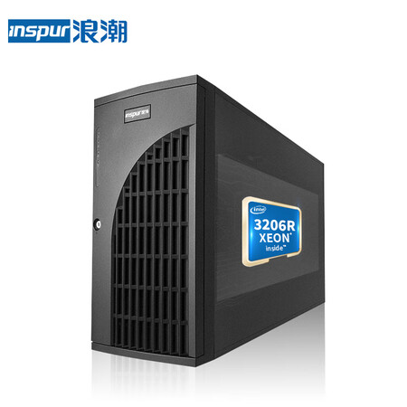浪潮(inspur)np5570m5企业web应用办公双路塔式服务器主机 3206r 8核
