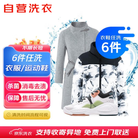 京东自营洗衣服务衣鞋任洗6件