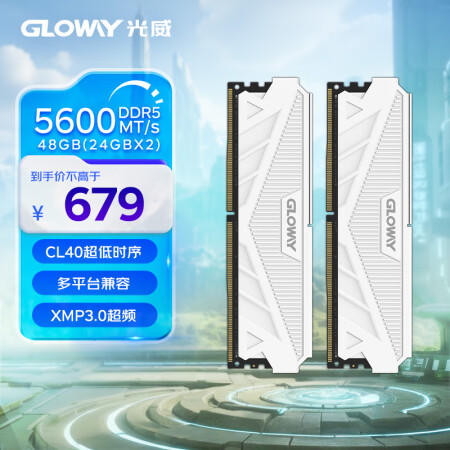 光威（Gloway）48GB(24GBx2)套装 DDR5 ...