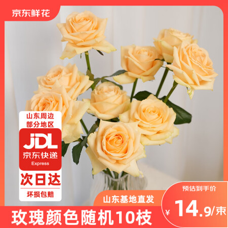 京东鲜花玫瑰花鲜花随机颜色品种10枝山东基地送女朋友情人节源...