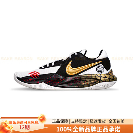 耐克（NIKE）定制球鞋精密6金龙在天图腾龙鳞百搭防滑耐磨低...