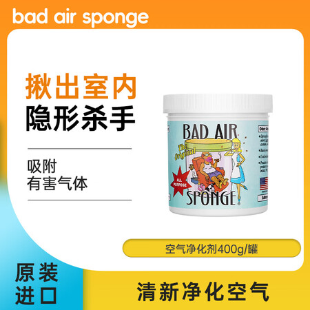 bad air spongeBad Air Sponge 空...