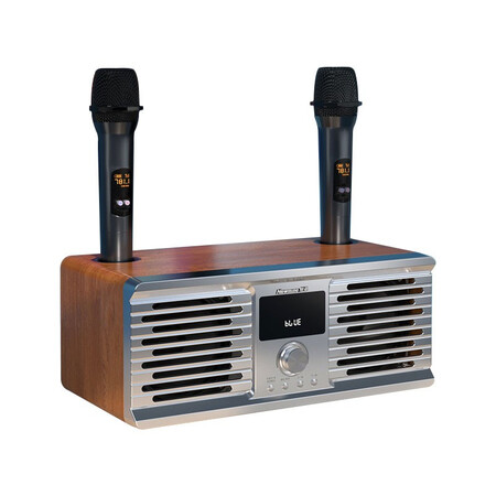 纽曼newmine家庭ktv套装蓝牙音箱音响双麦克风话筒k歌k3