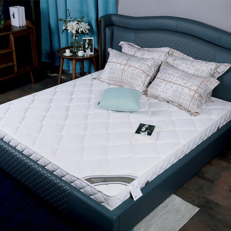 梦洁 乳胶床垫徐佩尔弹簧椰棕垫软硬定做进口乳胶席梦思床垫20cm 梦娜