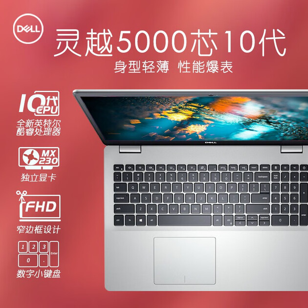 戴尔(dell)灵越5493/5593 燃5000 独显轻薄超极本商务办公学生游戏