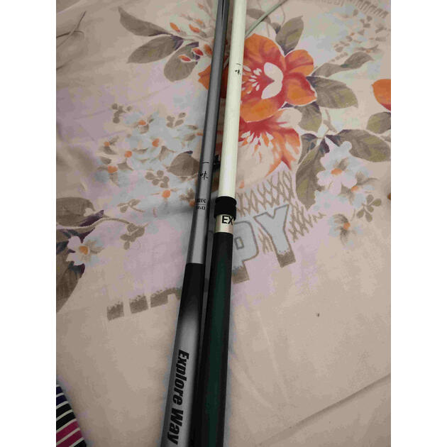 化氏一味ex钓竿超轻超硬钓鱼竿28调台钓竿4.