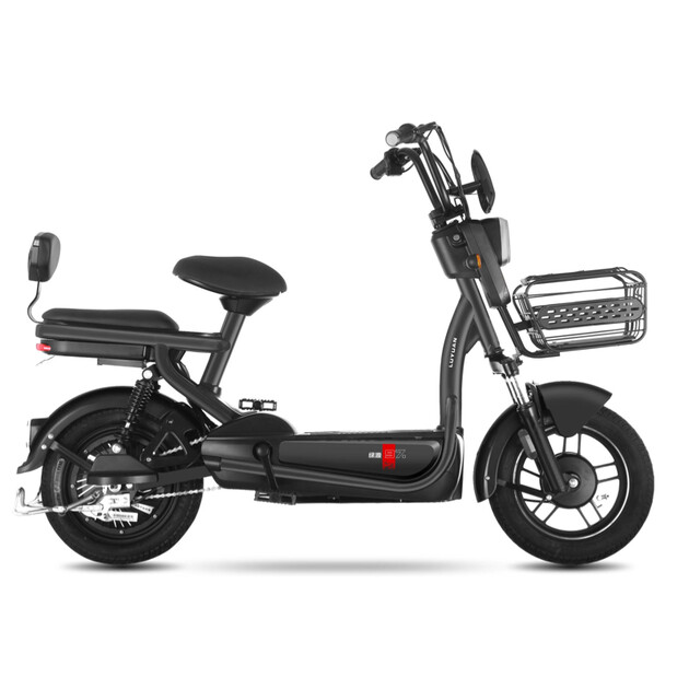 绿源新国标电动自行车48v20ah锂电池可提电动车 fea(tdt2007z) 棕色