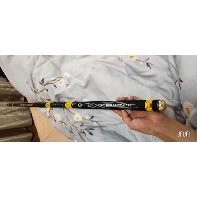 钓鱼王钓鱼竿手杆正品霸王悍巨物19调大物台钓竿超轻超硬十大名牌霸王