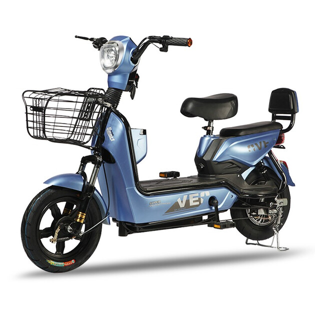 道新电动车新国标电动车成人电动自行车男女式中小型电摩电瓶车助力