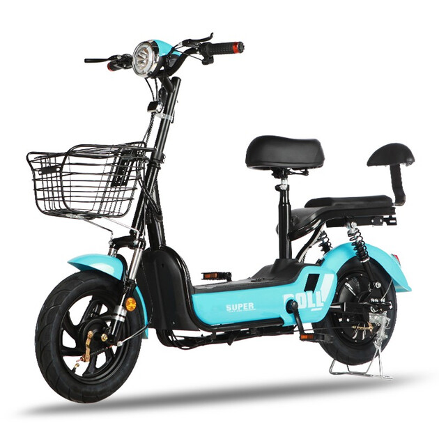 道新电动新国标电动车锂电成人电动自行车男女式中小型电瓶车助力踏板