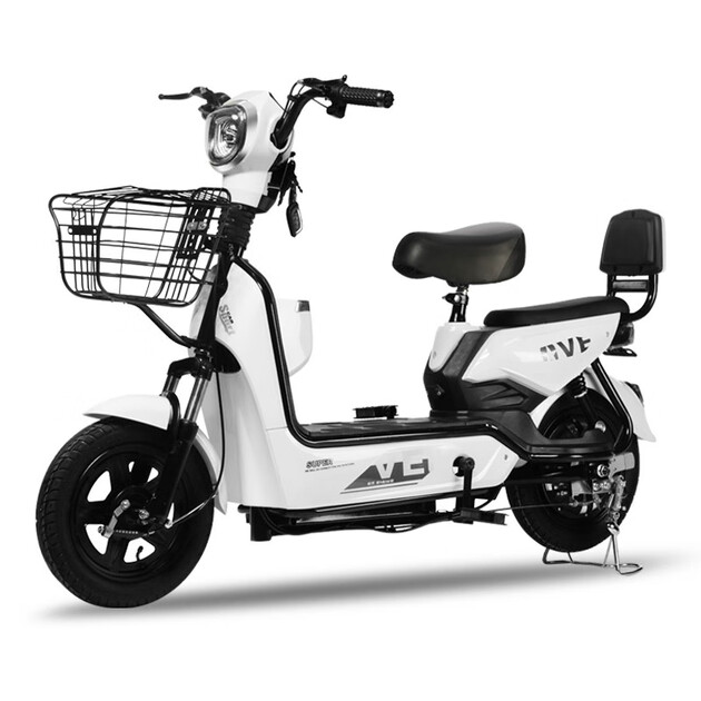 道新电动车新国标电动车成人电动自行车男女式中小型电摩电瓶车助力