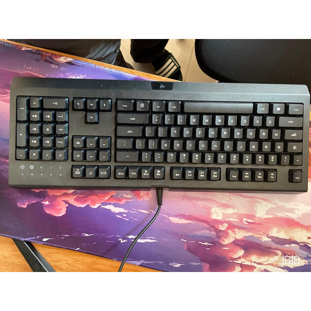 雷蛇(razer)萨诺狼蛛 键盘 有线键盘 办公键盘 104键 电竞 黑色 英雄