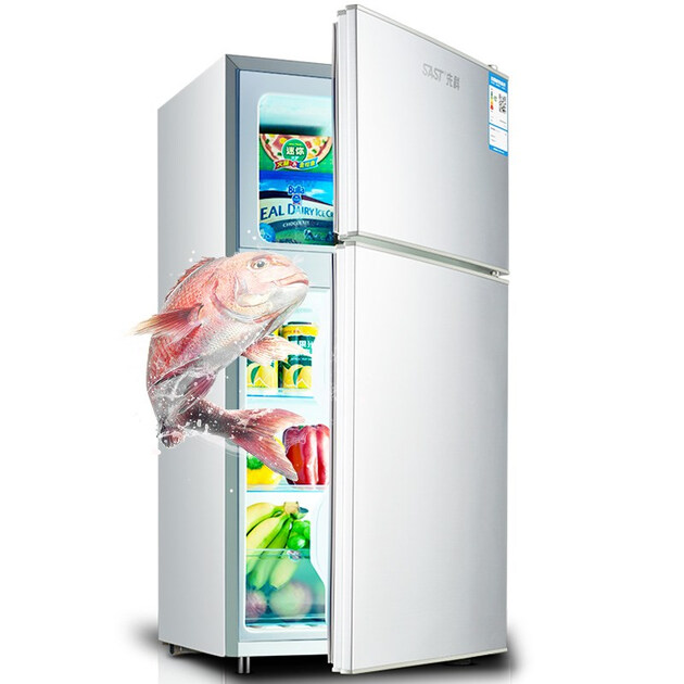 先科(sast)小冰箱 小型双门迷你家用电冰箱冷藏冷冻节能宿舍租房办公