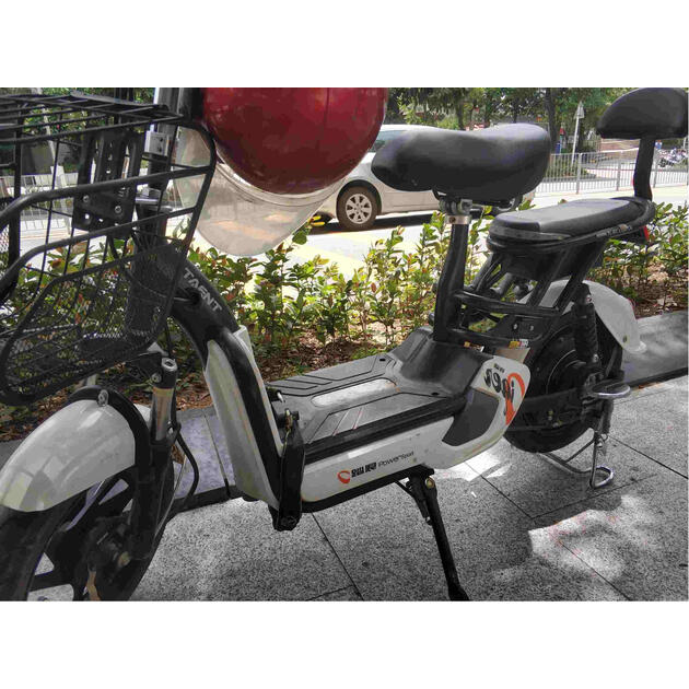 踏浪(taent) 电动自行车 电瓶车 助力车 男女学生成人运动款 48v 标准
