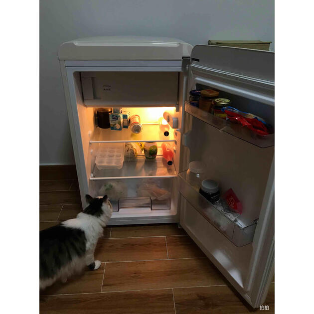 冰箱 【京东转卖】小吉(minij)121l复古迷你单门小冰箱 小型冷藏冷冻