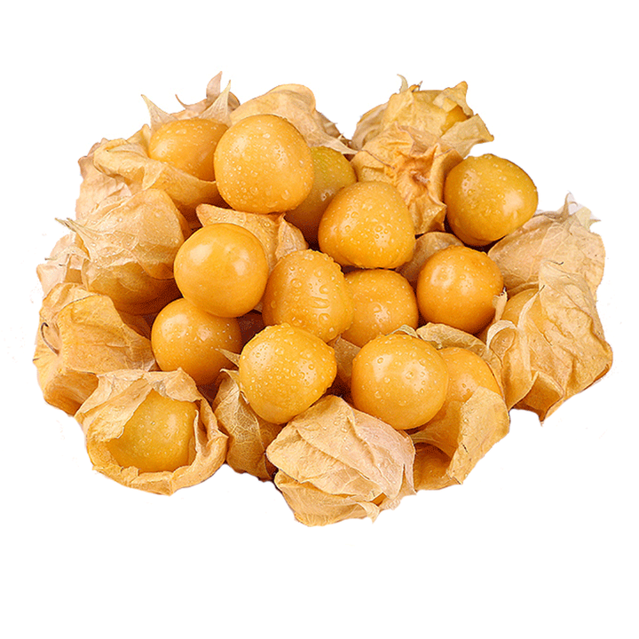 泽鲜达 东北姑娘果 新鲜灯笼果 当季现摘黄菇娘洋姑娘果孕妇水果 3斤