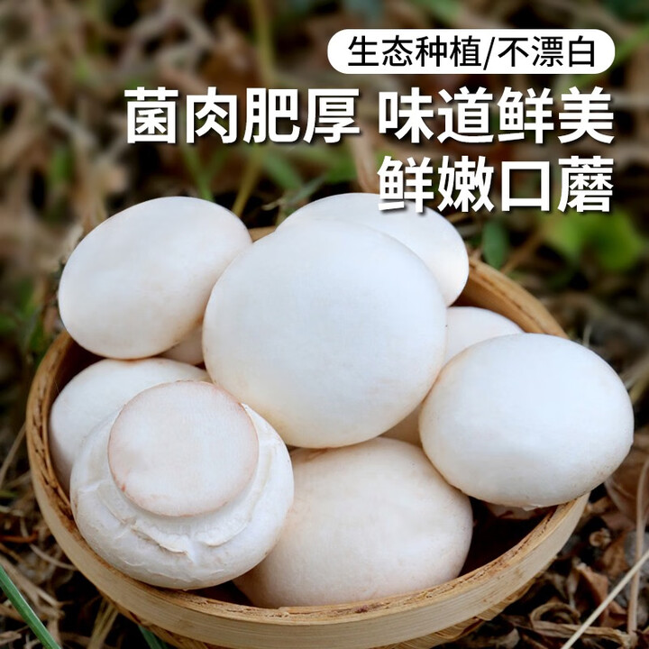 密农人家安心优选新鲜口蘑225g 农家白蘑菇 食用菌菇 口菇 新鲜蔬菜双孢菇 新鲜口蘑【图片 价格 品牌 报价】-京东