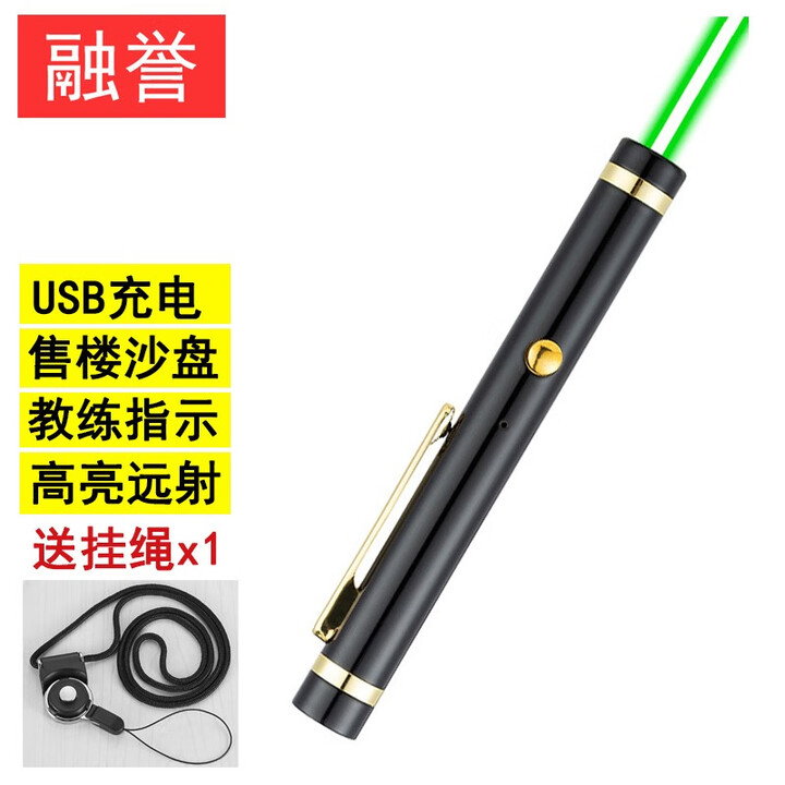 融誉 短款usb充电绿光激光手电 售楼处激光笔 镭射灯楼盘教练指示教鞭 售楼部激光灯  黑色