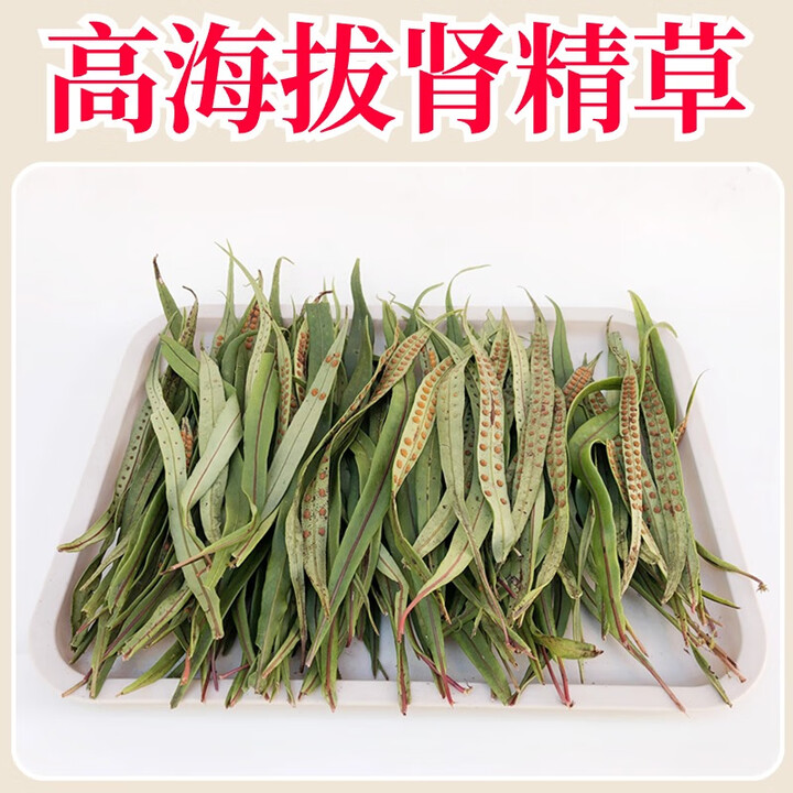 高原野生肾精茶肾精草化石草嗷嗷叫肾经草黄金草藏地中药材茶叶 250克【图片 价格 品牌 报价】-京东