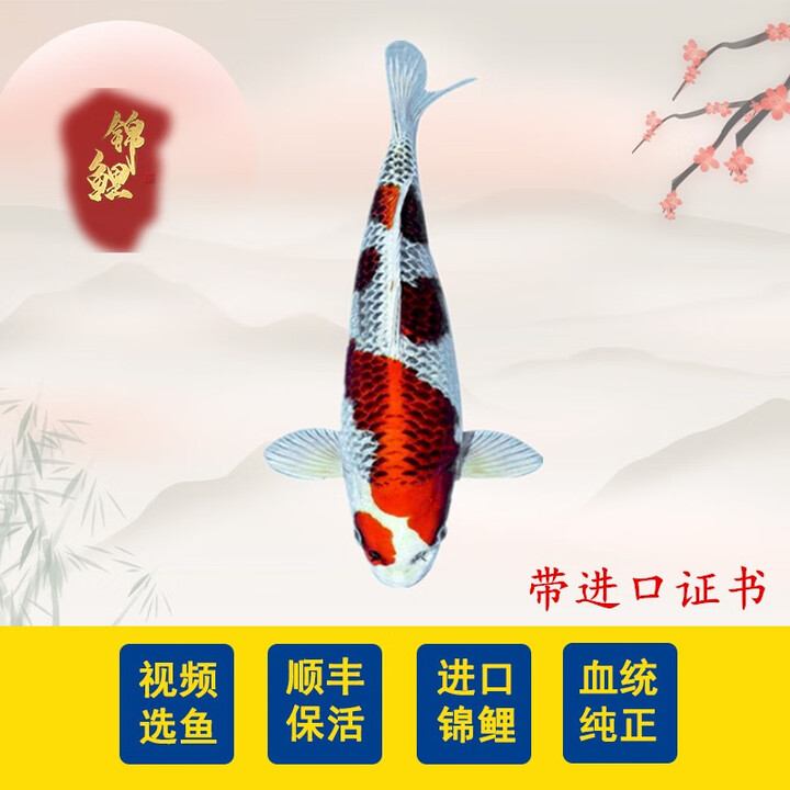 京东验证