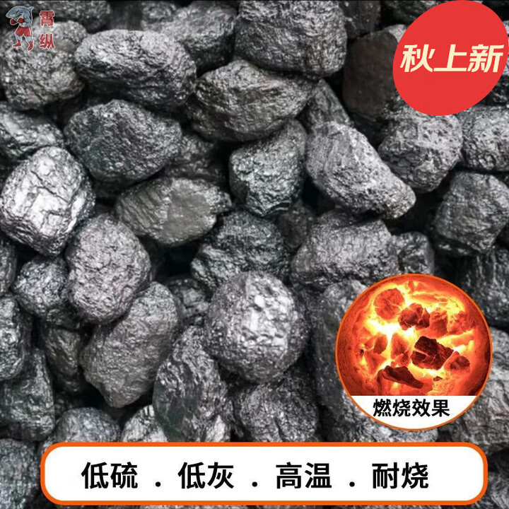 GUBPMTSHIM煤炭煤块【大块】煤块锅炉家用取暖低硫高温耐烧打铁 1公斤 1-3公分煤块