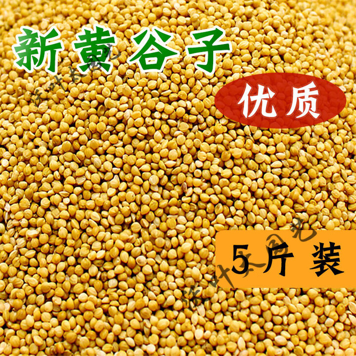 新黄谷子带壳小米黍子虎皮玄凤牡丹鹦鹉鸟食饲料鸟粮食物粮食5斤 2500g 精选黄谷子5斤装【图片 价格 品牌 报价】-京东