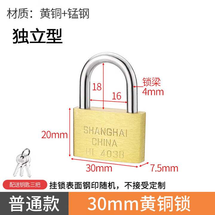 高着（GAOZHUO）黄铜挂锁 地球牌 加长挂锁特长长梁长柄长锁头家用大门挂锁柜