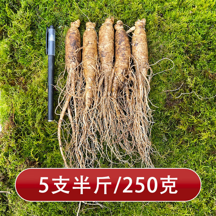 溥畔新鲜人参 长白山鲜参吉林人参现挖现售带土鲜参250g/5...