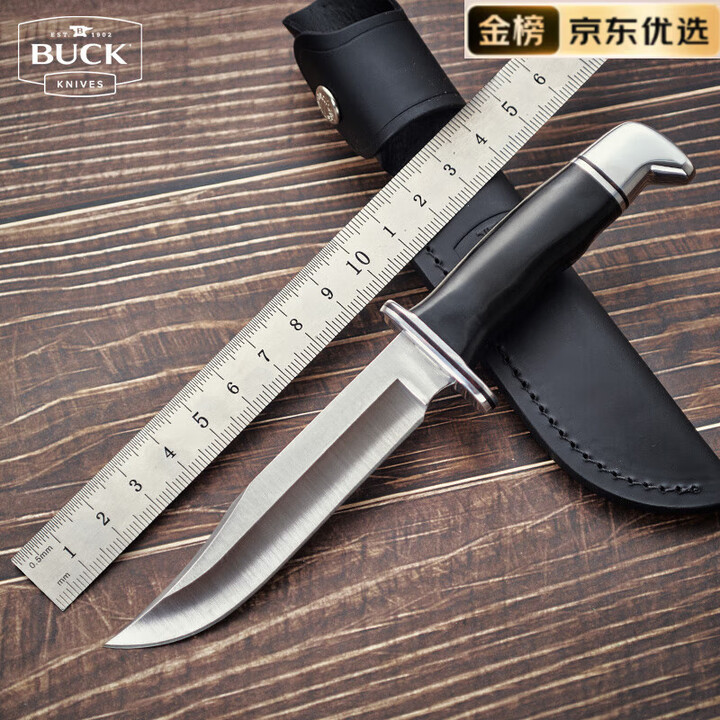 UHFR美国BUCK巴克进口户外便携高硬小直刀野营装备工具水果刀119 黑色