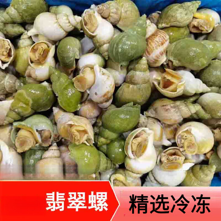 曼小伍新鲜翡翠螺 刺身料理熟冻海螺花螺青螺海鲜水产 500g【图片 价格 品牌 报价】-京东