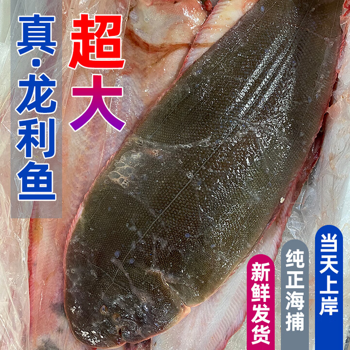 龙利鱼特大舌头鱼舌鳎鱼鳎目鱼鳎米鱼新鲜冷冻龙舌踏板鱼2-3斤/条 特大条2斤(1条装)【图片 价格 品牌 报价】-京东