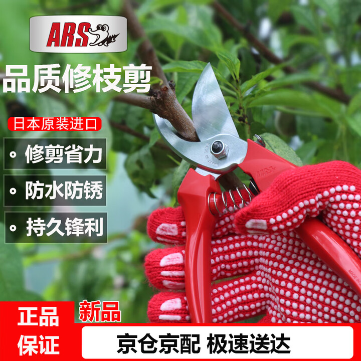 【爱丽斯(ARS)FB】爱丽斯(ARS)日本进口FB-8剪树枝园林剪刀园艺剪刀花剪果树修枝剪剪花枝剪刀【行情 报价 价格 评测】-京东