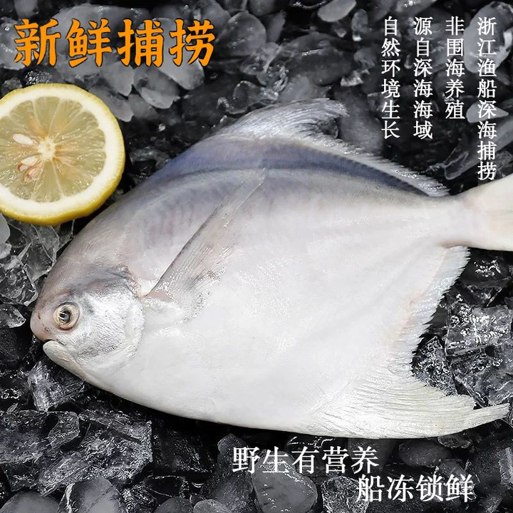 文勤鲳鱼 野生银鲳鱼大白鲳鱼 2斤一条可选海鱼平头鱼昌鱼 白鲳 4条装【超值】 4-6两/条 一人吃【图片 价格 品牌 报价】-京东