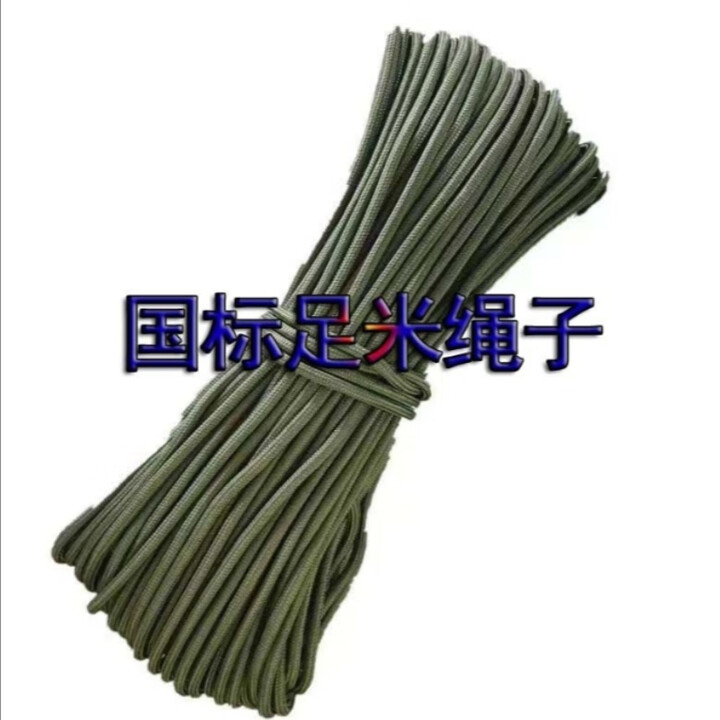军绿色耐磨尼龙绳编织绳绳子捆绑绳子篷布刹车广告绳拉绑绳货帐篷 【国标绳】直径10毫米 (升级款)军绿色10米【图片 价格 品牌 报价】-京东