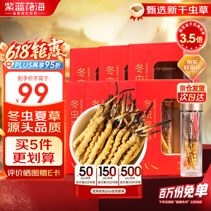 紫蓝花海3-4根/g 1g  冬虫夏草高品质虫草滋补品尝鲜【...