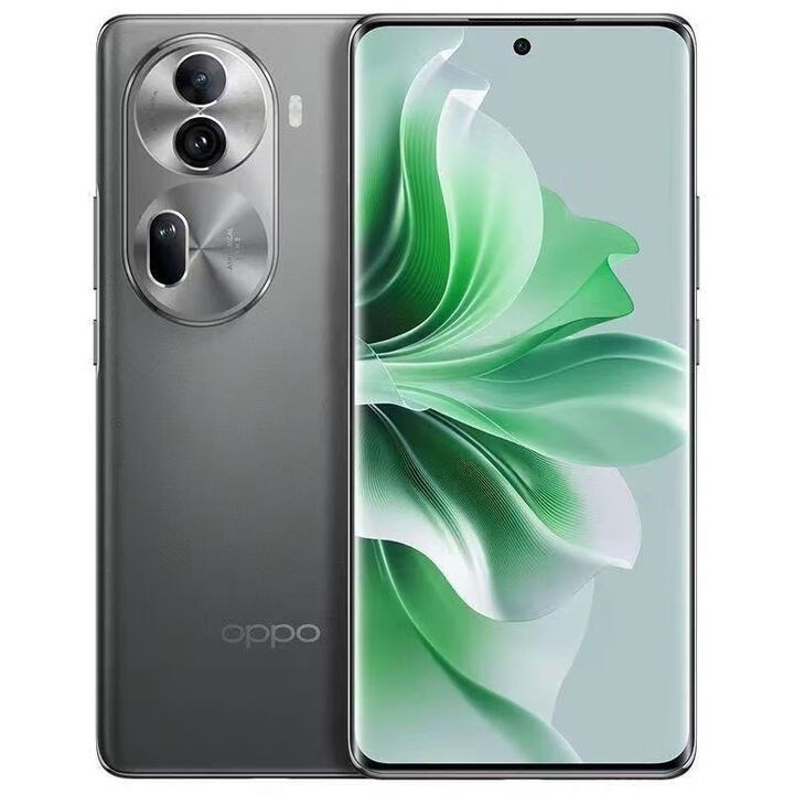 OPPO Reno11曲屏5000万单反级人像三摄天玑8200芯智能5G手机 曜石黑 12GB+256GB 单机+第三方品牌快充+店保1年