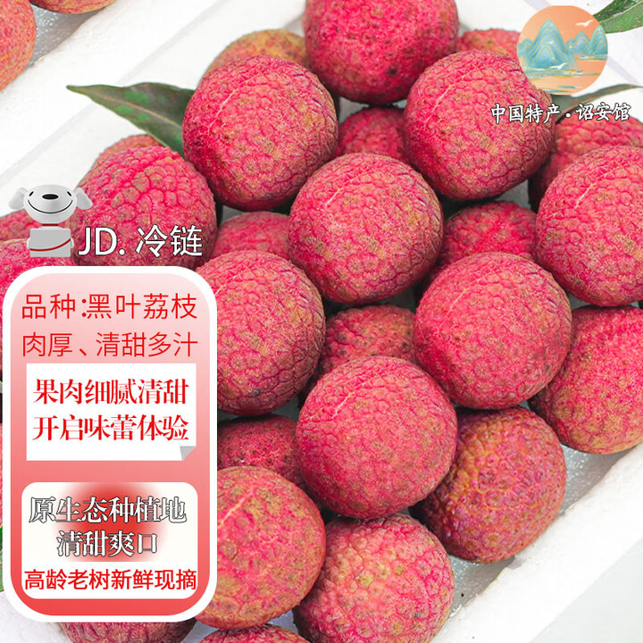 千里馋黑叶荔枝新鲜超大荔枝乌叶5斤【多地次日达】当季水果整箱送礼 10斤超值甄选老树果【净重9斤】【图片 价格 品牌 报价】-京东