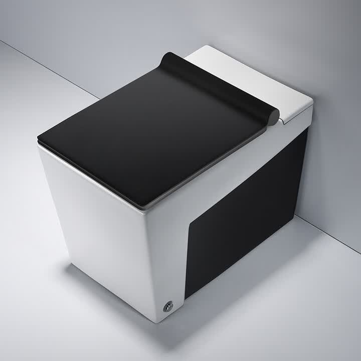 汉斯格雅欧式智能马桶一体式坐便器方形to 302黑盖板款双1