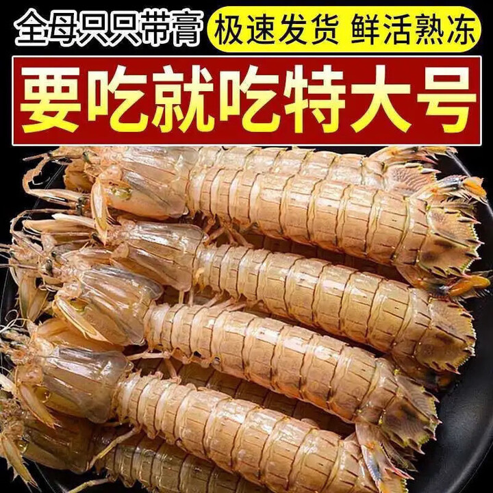 皮皮虾鲜活蒸熟冷冻虾爬子虾姑超特大全母带膏即食海鲜批发 中号公虾约24个 500克(净重) 2斤装【双人套餐】【图片 价格 品牌 报价】-京东